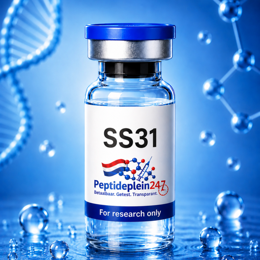 SS31 product afbeelding